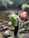 🍃 Mais um dia de conexão com a natureza, aventura e paisagens inesquecíveis!

Saímos de Ponta Negra de barco até Cariuçu das Pedras e seguimos por 6 km de trilha até Martim de Sá.

📍Paraty/ RJ

#Riomontanha #Trekking #Aventura #ReservaDaJuatinha #CostaVerde