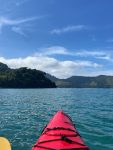 Aproveitando a janela entre trabalhos, desenvolvendo novo roteiro e celebrando a vida! 🚣‍♀️

Que privilégio poder transformar experiências em histórias pra compartilhar! 🙌🏼

📍São Gonçalo, Paraty.

#riomontanha #caiaquerj #ecoturismo #Paraty #saogoncaloparaty