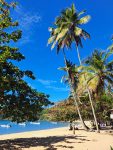 Today’s route looked like this: 👣

Abraão → Palmas → Mangue → Pouso → Aroeira → Lopes Mendes.

Around 7 km of hiking through the Atlantic Forest, passing beaches that make Ilha Grande such a breathtaking place! 🌿💚 🏝️ 

Hoje o caminho foi esse: 👣

Abraão → Palmas → Mangue → Pouso → Aroeira → Lopes Mendes.

São cerca de 7 km de trilha em meio à Mata Atlântica, passando por praias que fazem da Ilha Grande esse lugar deslumbrante! 🍃💚🏝️

#ilhagrande#atlanticforest #hikingbrasil #naturelovers #riomontanha 🇧🇷